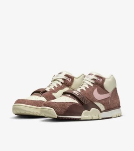 NIKE AIR TRAINER 1 DM0522-201 エア トレーナー ダークポニー US11