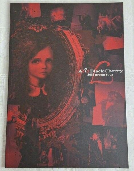 Acid Black Cherry アリーナツアー L パンフレット 2015 ABC yasu 林保徳