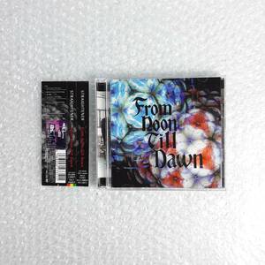 ストレイテナー/From Noon Till Dawn CD+DVD 初回限定盤 帯付き