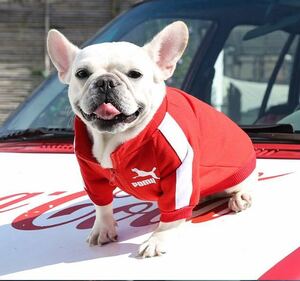 犬服　ペット服ジャージ　ファスナー式　スポーツ　ジョギング　XLサイズ　赤　ドッグウェア