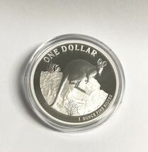 オーストラリア 銀貨 2010年 カンガルー 1oz シルバー プルーフコイン 箱付き_画像2