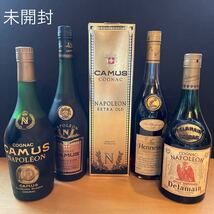 【未開封】古酒　NAPOLEON ナポレオン　Delamain CAMUS カミュ Hennessy ヘネシー　VSOP ブランデー 4本まとめ売り_画像1