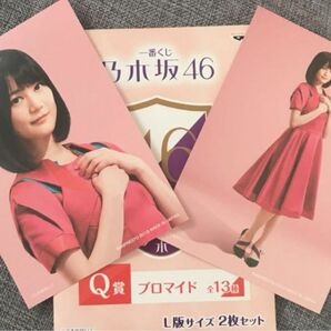 乃木坂46 生田絵梨花 ブロマイド　しあわせの保護色CDつき