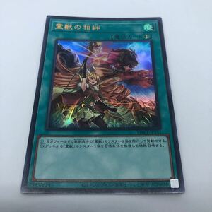 遊戯王 OCG TERMINAL WORLD TW01-JP141 UR 霊獣の相絆