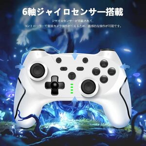 Switchコントローラー 四重HD振動 TURBO連射 スリープ復帰 Switch コントローラー 背面ボタン付き【アップグレード版】スイッチ