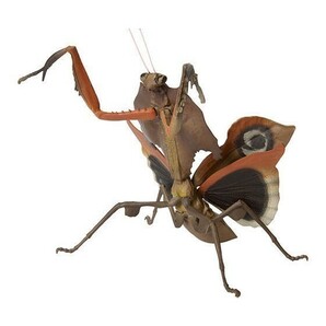 いきもの大図鑑 ミニコレクション 昆虫02 メダマカレハカマキリ 昆虫 ０２ カマキリ かまきり 動物 生物 フィギュア バンダイ 新品未開封の画像2