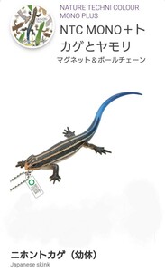 ネイチャーテクニカラー トカゲとヤモリ ニホントカゲ 幼体 ボールチェーン トカゲ 蜥蜴 爬虫類 動物 生物 フィギュア いきもん 新品未使用