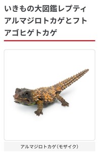 いきもの大図鑑 レプティ アルマジロトカゲとフトアゴヒゲトカゲ アルマジロトカゲ モザイク 動物 生物 フィギュア バンダイ 新品袋未開封