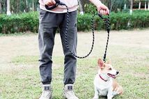 犬用リード ダブルハンドル 中型犬 大型犬用1.8M ロングリード　 夜光材質_画像2