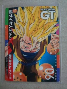 DVDポイントナンバーカード DRAGON BALL GT #06 超サイヤ人3(大人) 星も震えるパワー!! ドラゴンボール