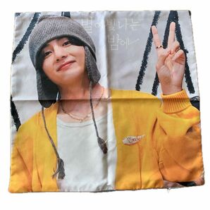 BTS V テテ　クッションカバー　45×45 非売品　