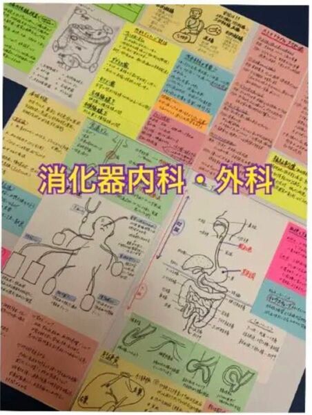 まとめ価格！看護師国家試験対策 大量付箋 暗記カード 解剖生理学 付箋ノート