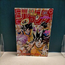 週刊少年ジャンプ 1993 10/18号 no.44 表紙:ドラゴンボール■古本/経年劣化によるスレ傷み/その他良好/ダイの大冒険/スラムダンク他収録_画像1