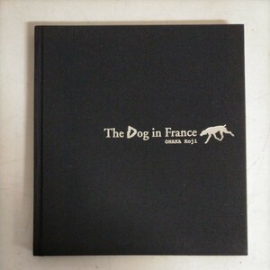 【署名入/初版】尾仲浩二 写真集 The Dog in France フランスの犬 2008年 蒼穹舎●古本/表紙微スレ角縁少傷み/本体微ヤケ頁概良好/旅の写真