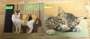 PG2785☆猫のアルバム 田舎の猫/ねむり猫/愉快な猫/やんちゃな猫/こねこの家/かわいい子猫 本多信男 山と渓谷社☆