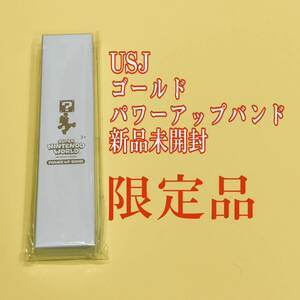 USJ ユニバーサル スタジオ ジャパン 限定 スーパーマリオブラザーズ/SUPER NINTENDO WORLD ゴールデン・パワーアップバンド