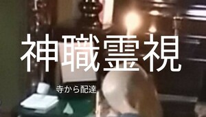 陰陽師霊視　金運開運恋愛お守りつき　読める護符つきお祓い込みです　悩み生きる意味前世使命　今の悩み霊視カウンセリング　◯今日限定