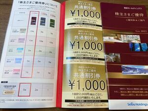 【最新】西武ホールディングス　株主優待　冊子(1000株以上)　2冊　（共通割引券1000円×20枚）①