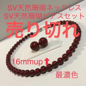 最濃色　SV天然珊瑚ネックレス　42cm SV天然珊瑚ピアス　16mmupセット