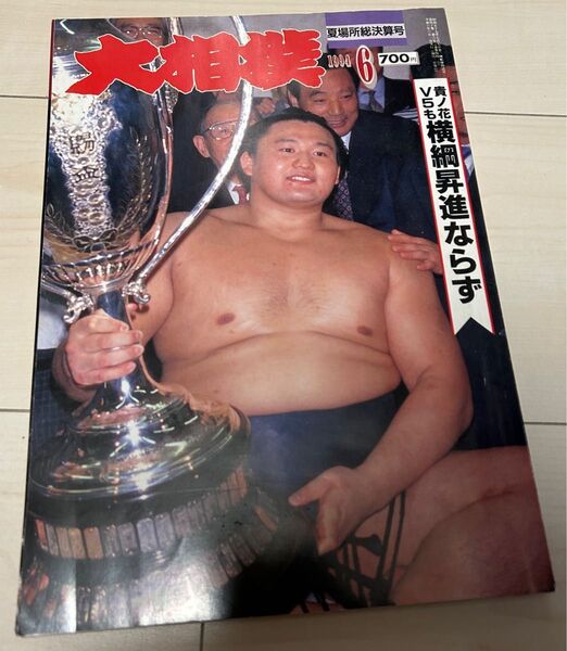 値下げ!大相撲 平成6年6月号