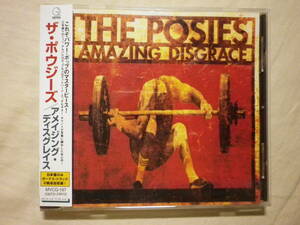 『The Posies/Amazing Disgrace(1996)』(1996年発売,MVCG-197,廃盤,国内盤帯付,歌詞対訳付,Ontario,Please Return It,グランジ,Power Pop)