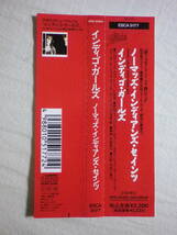 『Indigo Girls/Nomads Indians Saints(1990)』(1990年発売,ESCA-5177,3rd,廃盤,国内盤帯付,歌詞対訳付,Hammer And Nail,Folk,グランジ)_画像4