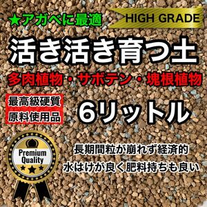 多肉植物の土 サボテンの土 多肉植物用土 塊根植物の土