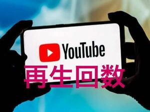 【おまけ2000YouTube再生回数増加】 YouTube Twitter Tiktok 自動ツール インスタ フォロワー いいね 再生数 チャンネル登録者数