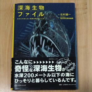 深海生物ファイル　あなたの知らない暗黒世界の住人たち 北村雄一／著