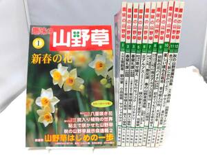 D4S хобби. луговые и горные травы 2005 год ( эпоха Heisei 17 год )12 шт. .... лист книжный магазин 