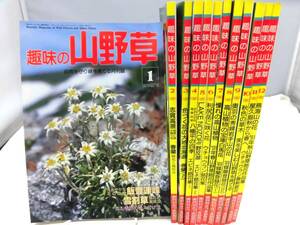 D4S　趣味の山野草　1991年（平成3年）12冊揃い　栃の葉書房