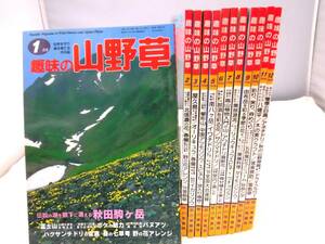 C5S hobby. fields and mountains grass 1998 year ( Showa era 10 year ) all 12 pcs. .... leaf bookstore 