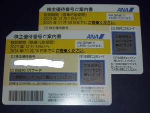 ◆ＡＮＡ株主優待券２枚セット 最新２０２４年１１月３０日まで 送料無料◆