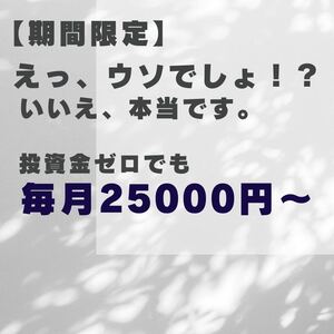 　【募集人数限定】自己資金ゼロでもOK！！会社の仕組みに乗っかるだけ。ほったらかしで副収入を受け取ってください。