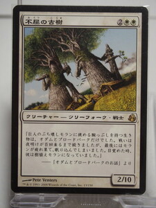 3838/不屈の古樹/Indomitable Ancients/モーニングタイド【通常版】/【日本語】