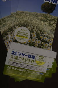 マザー牧場　入園招待券　１枚500円　4枚セット2000円　期限２０２４年3月３１日まで　送料無料