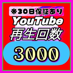 【おまけ　YouTube 3000回　再生回数】 fx ツールを販売します　拡散します 収益化　法人化　再生回数　登録者数　