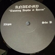 C12 中古LP 中古レコード　ANATOMY twistkng depths of horror オーストラリア盤　ブラックメタル　デスメタル　_画像6