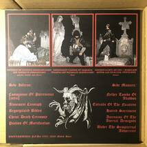 C12 中古LP 中古レコード Proclamation Nether Tombs Of Abaddon ピクチャーディスク ブラックメタル デスメタル おまけ付_画像2