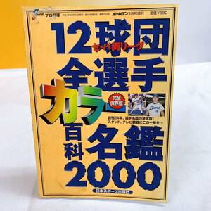 Q4-K12/19 ホームラン 12球団全選手百科名鑑 カラー完全保存版　プロ野球　レア　希少　2000