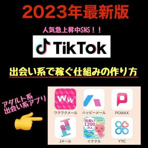 【同じ作業を繰り返すだけ】TikTok、Youtube、インスタ集客！出会い系アフィリエイトで稼ぐ方法 /ブログ,副業,在宅ワーク