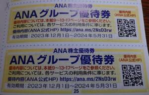 全日空ANAグループ★優待券　割引券２枚★ホテル宿泊　レストラン・バー　海外国内ツアー旅行　空港お買物★2024年5月31日まで　9セット有