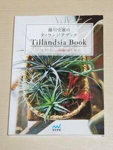 『藤川史雄のティランジアブック エアプランツ100種の育て方』/チランジア