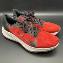 即決 NIKE Zoom Winflo 7 ナイキ ズームウィンフロー7 30cm_画像3