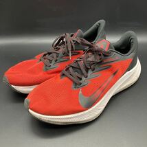 即決 NIKE Zoom Winflo 7 ナイキ ズームウィンフロー7 30cm_画像1