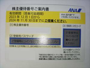 【送料無料】ANA株主優待券 1枚 有効期間：2024年11月30日まで