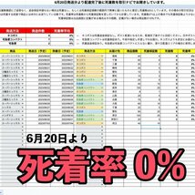 【100個＋α】★イシダタミ貝★新：海水魚水槽のコケ取り貝 ■兵庫県産■普通のシッタカ貝よりも茶ゴケに強い★カワハギ釣り餌_画像3