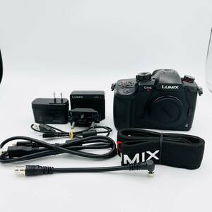 [ прекрасный товар 18960 Schott ] Panasonic беззеркальный однообъективный камера Lumix GH5S корпус черный DC-GH5S-K Panasonic