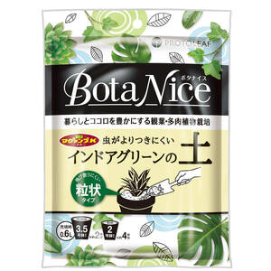  Pro to leaf bota Nice BotaNice Индия a зеленый. земля шарик форма . лист суккулентное растение 0.6L 3.5 номер горшок ×2 кубок минут садоводство для земля удобрение кружка .mpK ввод 