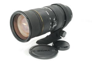 【良品】SIGMA 50-500mm F4-6.3 APO EX DG HSM Canon キャノンEFマウント シグマ y978